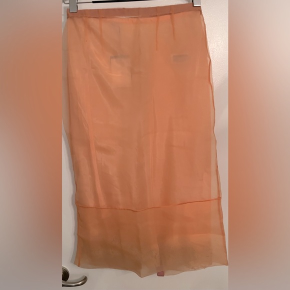 Organza Sheer Skirt - Picture 4 of 6